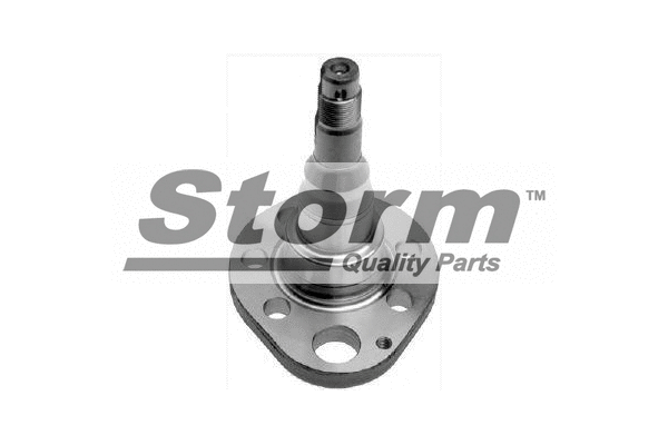 Steering Knuckle, wheel suspension (F6049)