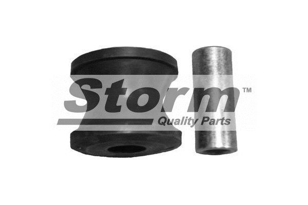 Mounting, control/trailing arm (F1916)