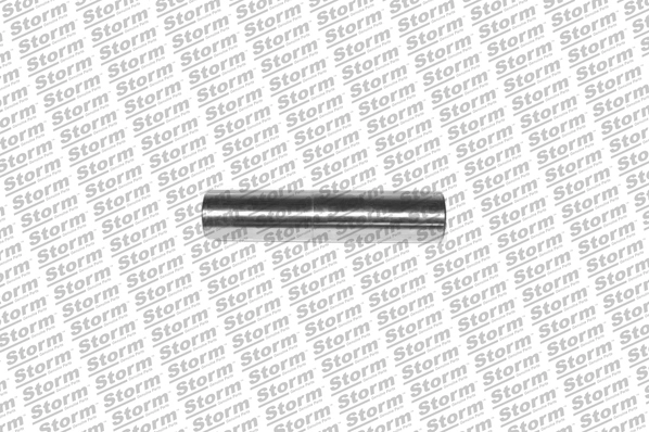 Mounting, axle strut (F5003)