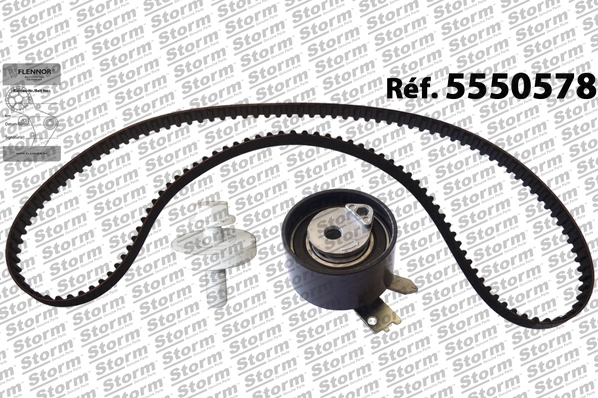 Timing Belt Kit (5550578)