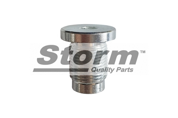 Screw Plug, oil sump (F1540)