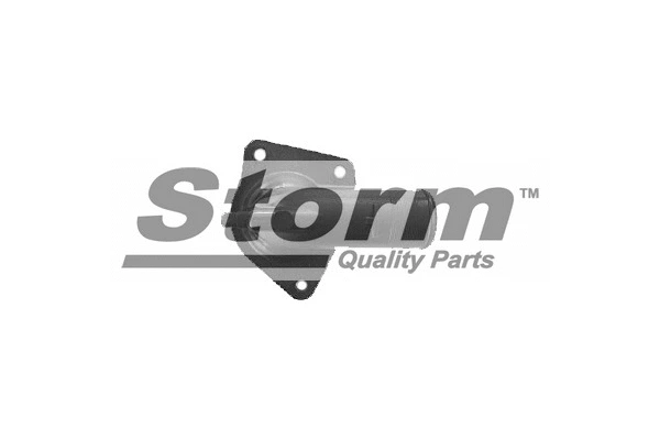 Coolant Flange (F3556)