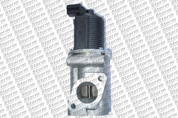EGR Valve (9025)