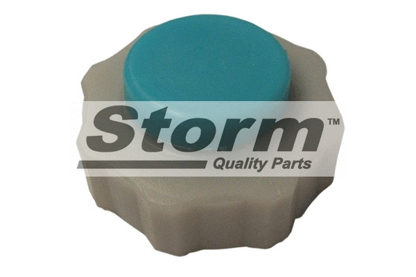 Cap, coolant tank (TB200)