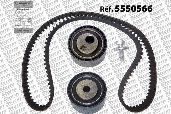 Timing Belt Kit (5550566)