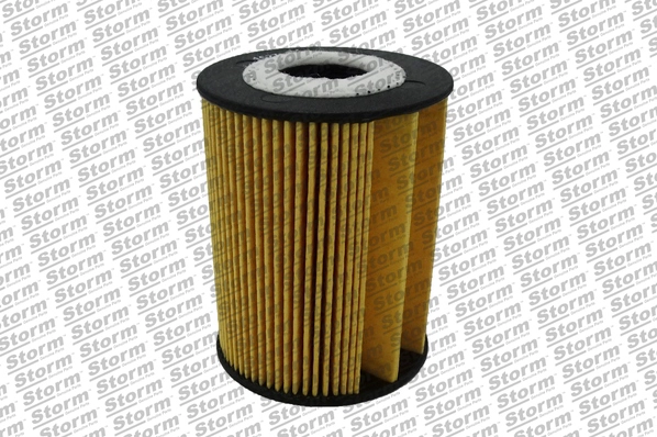 Oil Filter (8922)