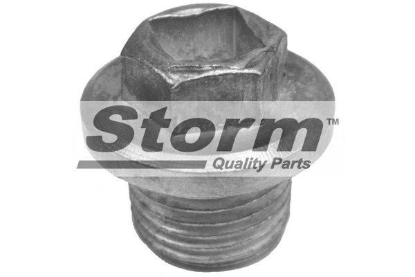 Screw Plug, oil sump (F0889)