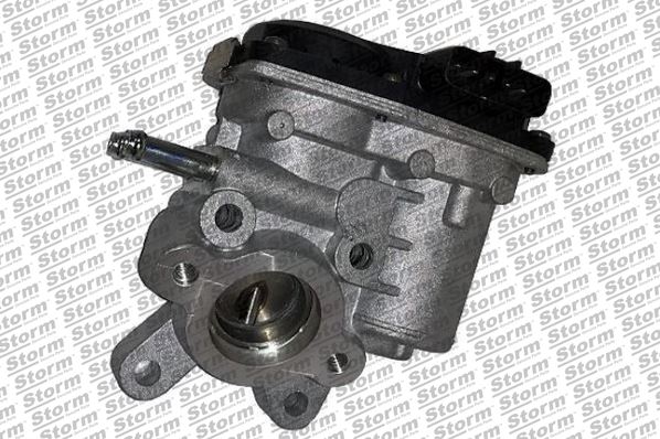 EGR Valve (9099)