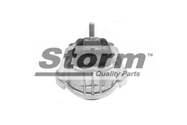 Mounting, engine (F10631)
