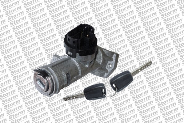 Steering Lock (79922)