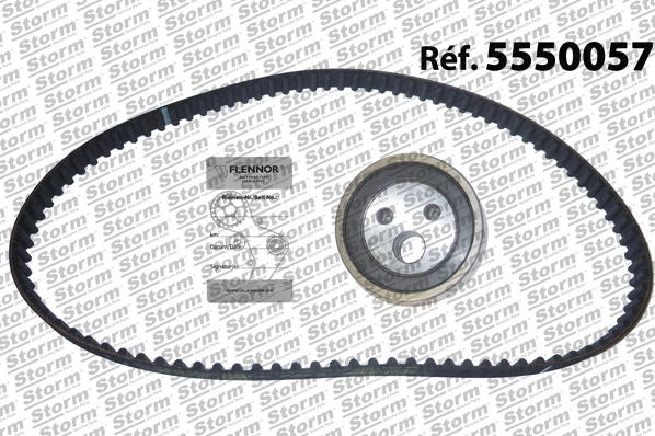 Timing Belt Kit (5550057)
