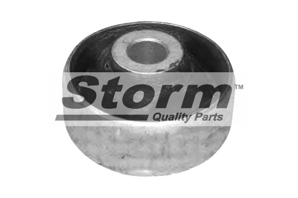 Mounting, control/trailing arm (F1100)