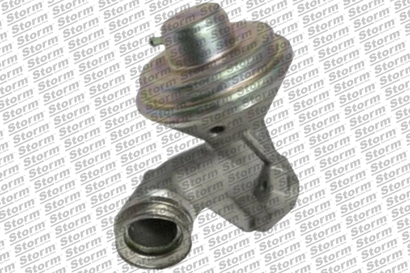 EGR Valve (9046)