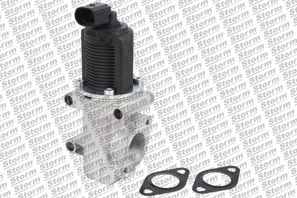EGR Valve (9016)