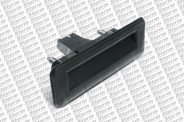 Exterior Door Handle (9702503)