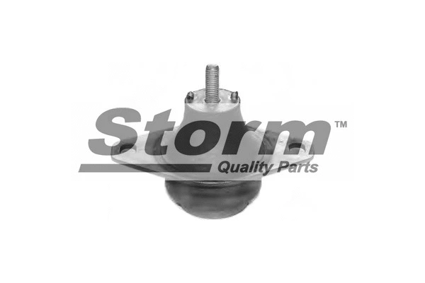 Mounting, engine (F1071)