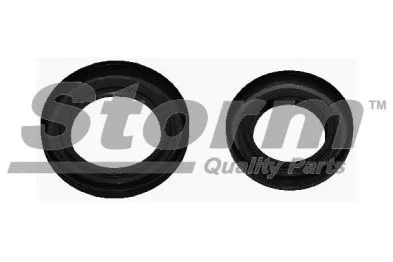 Shaft Seal, differential (F4762)