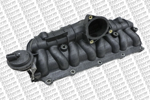 Intake Manifold Module (516513)
