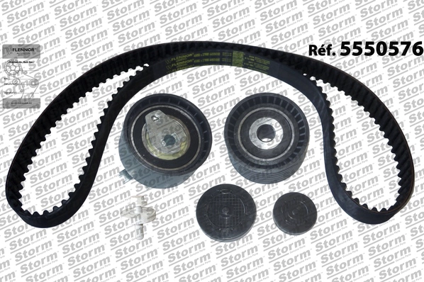 Timing Belt Kit (5550576)