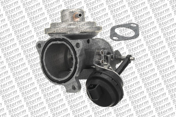EGR Valve (9037)