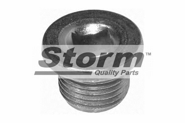 Screw Plug, oil sump (F10174)