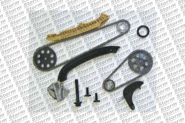 Timing Chain Kit (KITC555009)