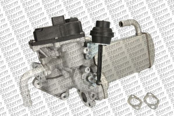 EGR Module (9091)