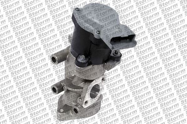 EGR Valve (9104)