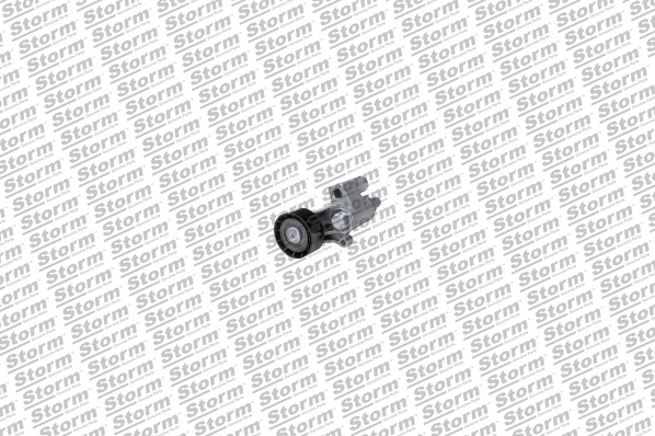 Belt Tensioner, V-ribbed belt (29993)