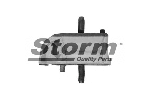 Mounting, engine (F0512)