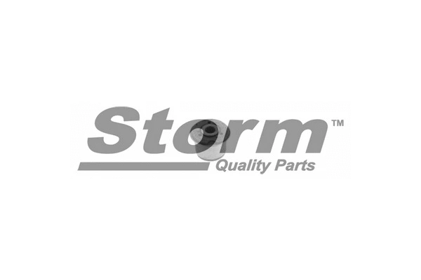 Mounting, control/trailing arm (F1070)