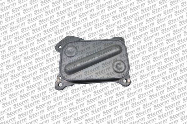 Oil Cooler, engine oil (F10595)