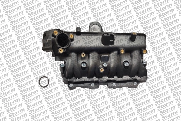 Intake Manifold Module (516506)