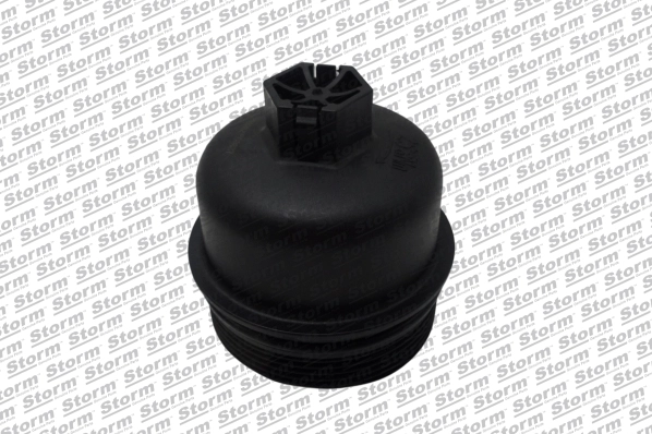 Cap, oil filter housing (F9924)