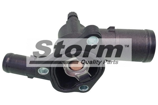 Thermostat, coolant (F3816)