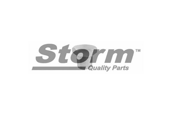 Screw Plug, oil sump (F0890)