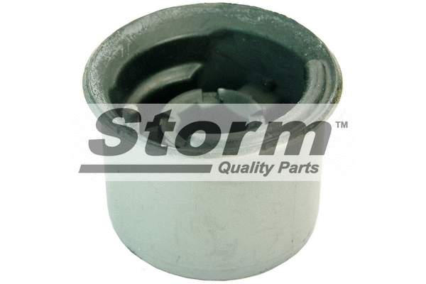 Mounting, control/trailing arm (4670)