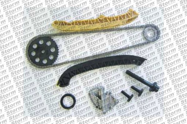 Timing Chain Kit (KITC555014)