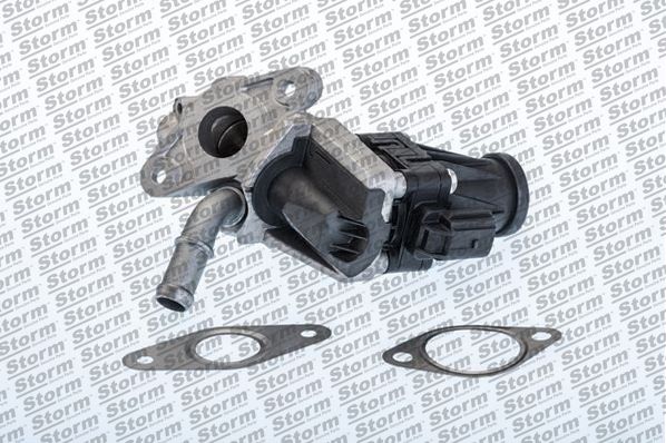 EGR Valve (9083)