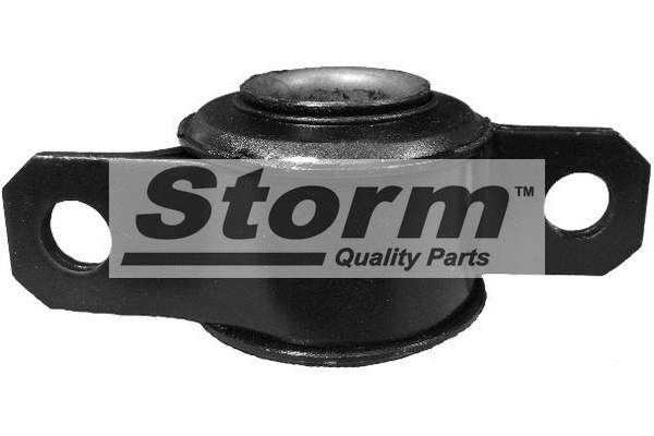 Mounting, control/trailing arm (F2873)