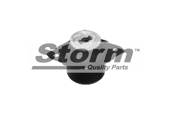 Mounting, engine (F2233)