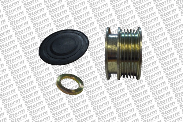 Alternator Freewheel Clutch (F10784)