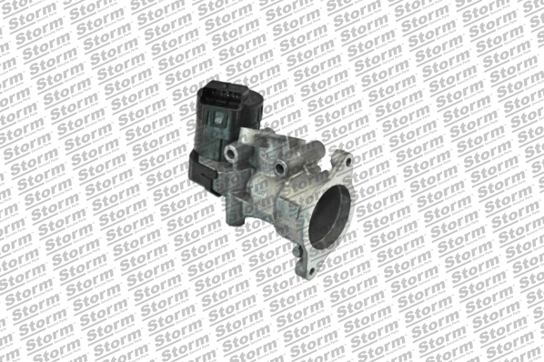 EGR Valve (9029)