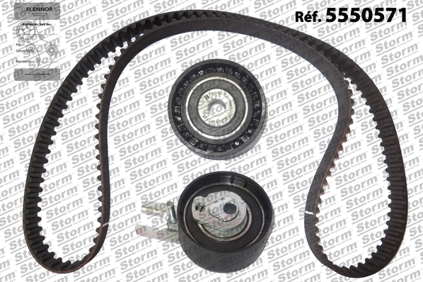 Timing Belt Kit (5550571)