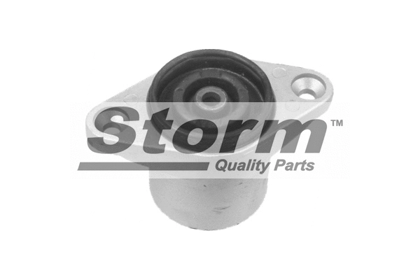 Suspension Strut Support Mount (F10289)
