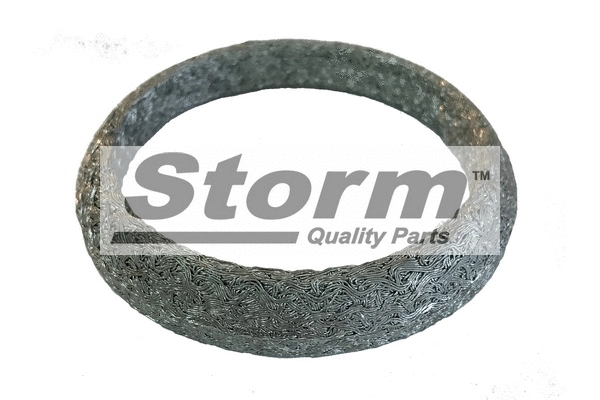 Gasket, exhaust pipe (F2544)