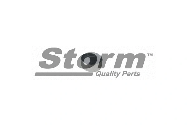 Mounting, control/trailing arm (F2022)