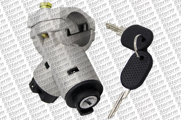 Steering Lock (79923)