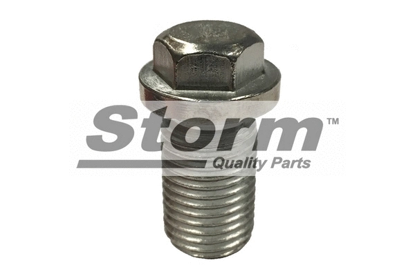 Screw Plug, oil sump (F0638)