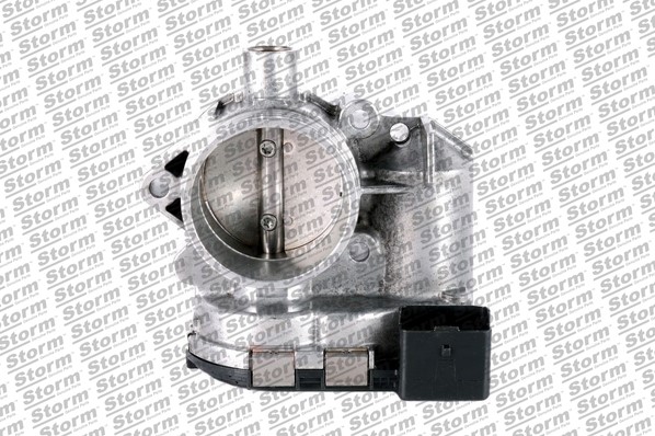 Throttle Body (972106)